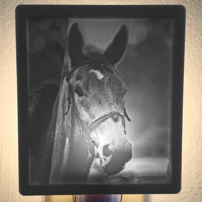 Horse_Nightlight_Product